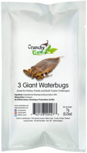 3 Giant Waterbugs (7g; dehydrated)
