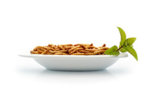 Mealworms - Roasted - EU
